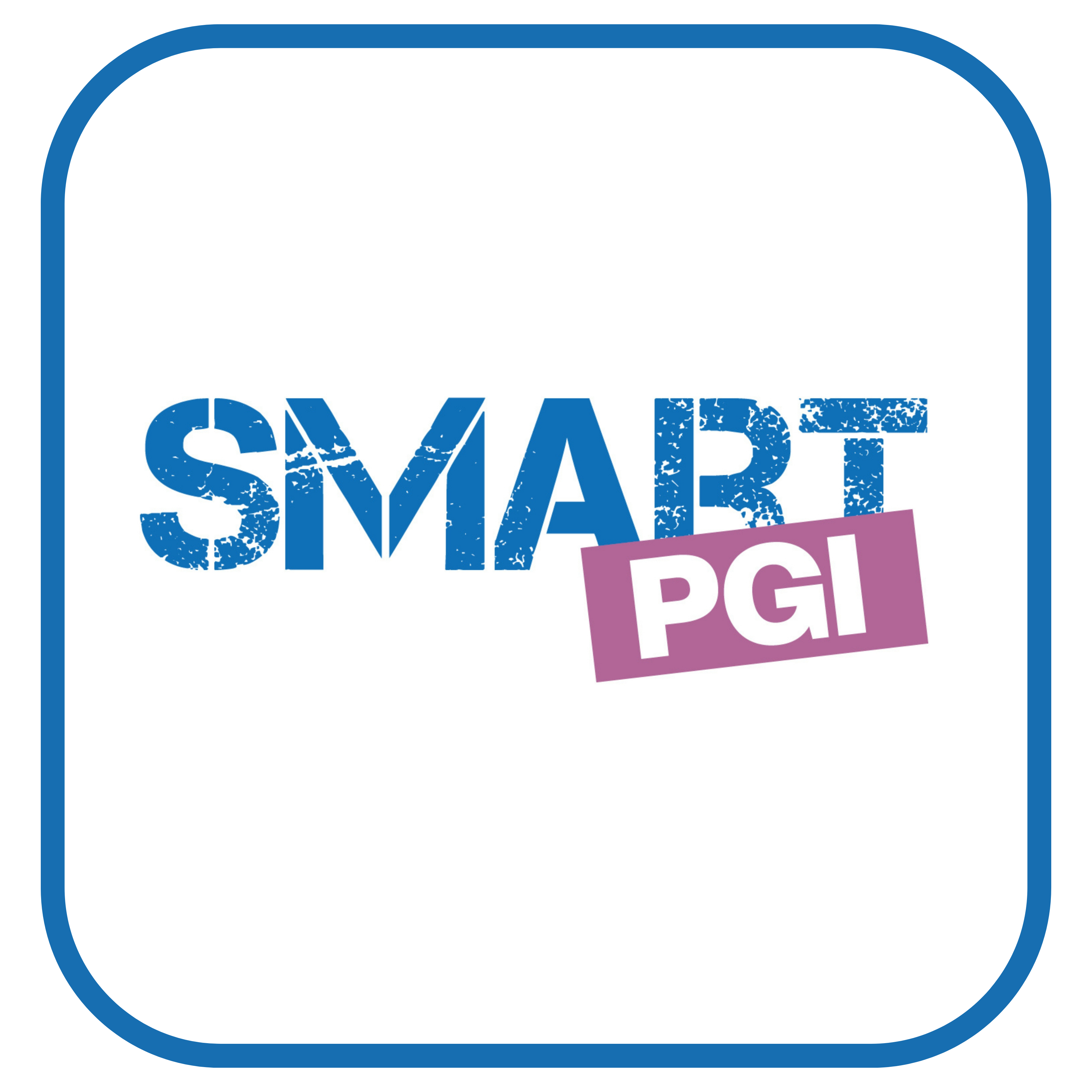 Interface SMART PGI